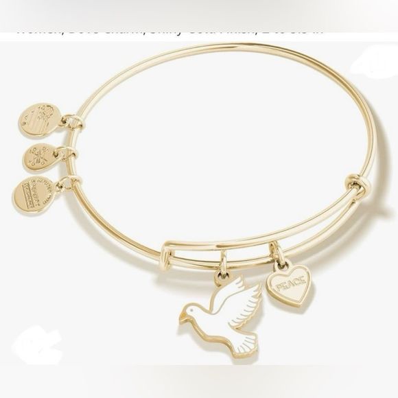 Alex & Ani Create Chain Clasp Bracelet With Slider Charms Expandable Bracelets - Picture 15 of 17